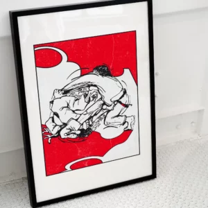 a framed picture of a wrestling player